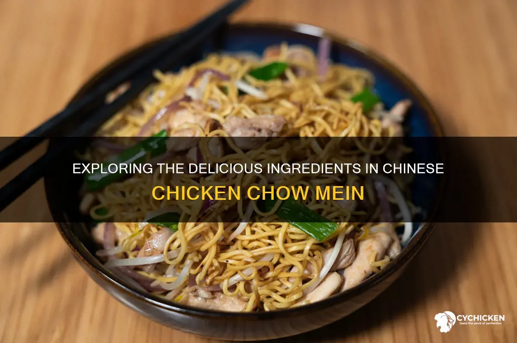 what is in a chinese chicken chow mein