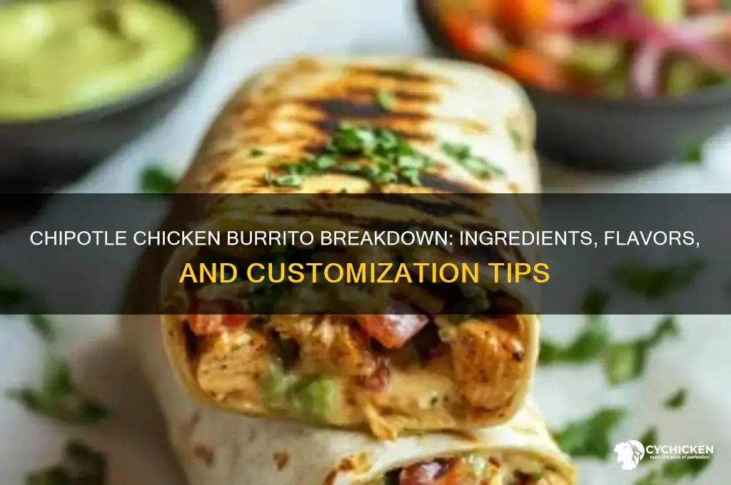 what is in a chipotle chicken burrito