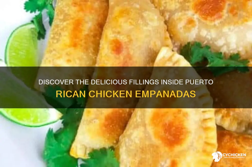 what is in a puerto rican chicken empanada