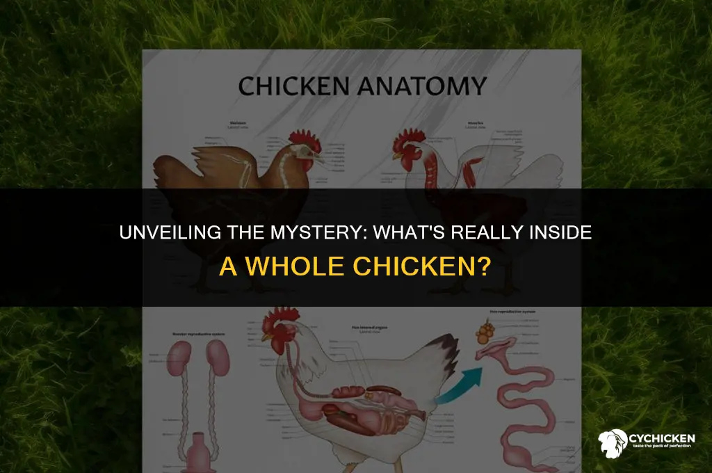 what is in a whole chicken