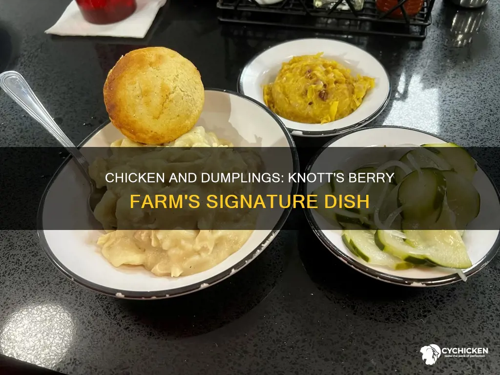 what is in chicken and dumplings at knotts berry farm