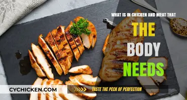 Chicken and Meat: Essential Nutrients for Your Body