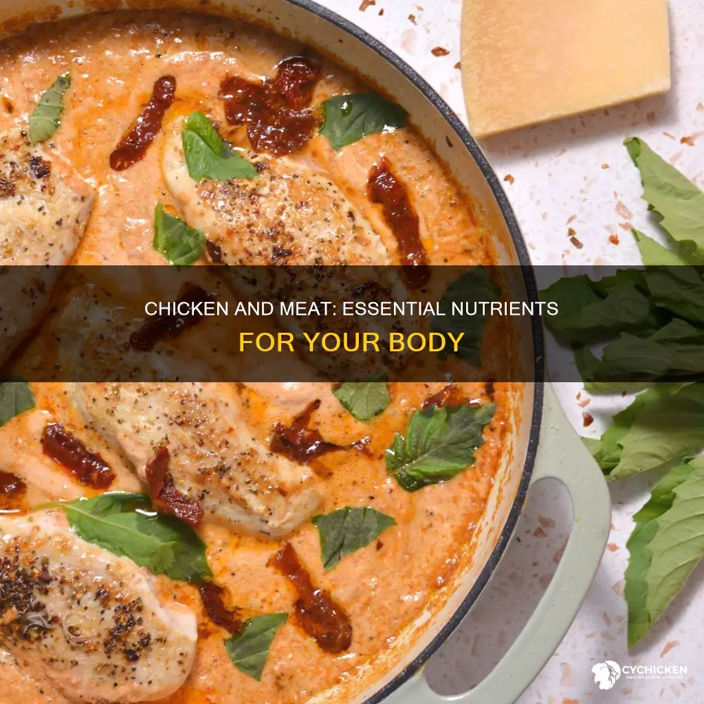 what is in chicken and meat that the body needs