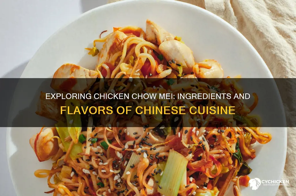 what is in chicken chow mei chinese food