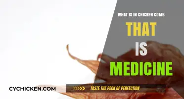 Medicinal Secrets of Chicken Combs: Unlocking Their Healing Potential