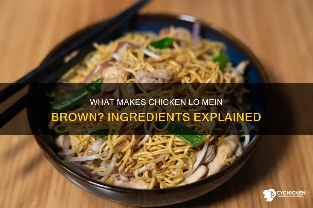 what is in chicken lo mein that brown