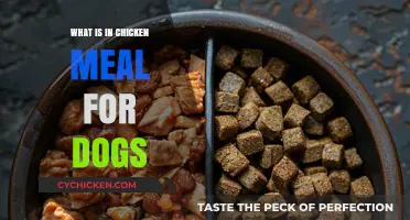 Understanding Chicken Meal: A Nutritious Dog Food Ingredient Explained