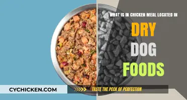 Chicken Meal in Dry Dog Food: What's the Deal?
