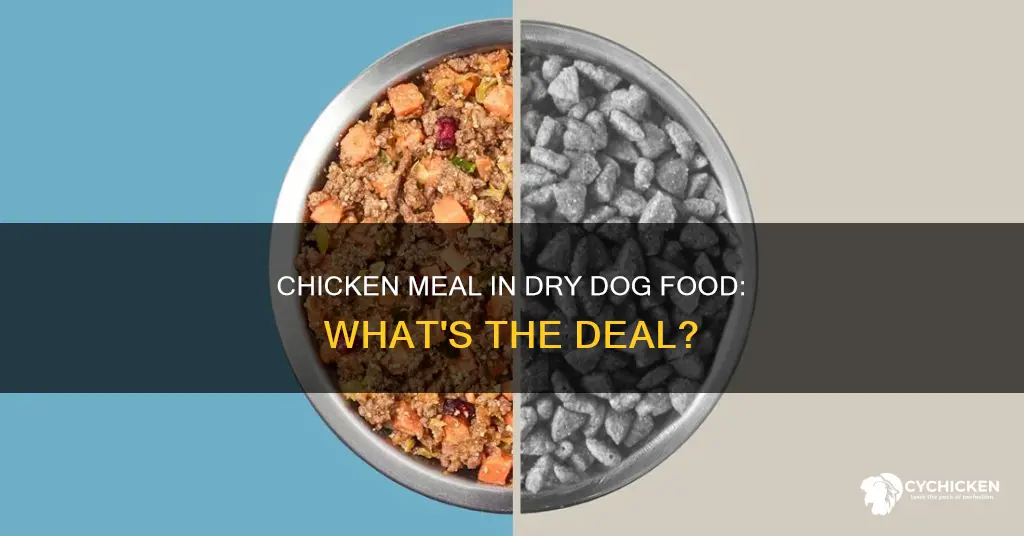 what is in chicken meal located in dry dog foods