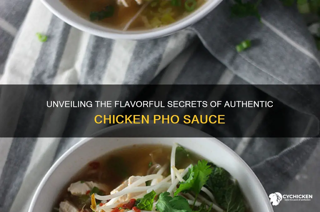 what is in chicken pho sauce