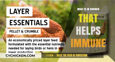 Boost Your Immunity: Essential Nutrients in Chicken for a Healthy Defense