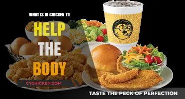 Nutritional Powerhouse: Essential Chicken Benefits for Optimal Body Health
