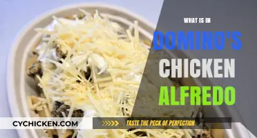 Discover the Ingredients in Domino's Chicken Alfredo Recipe