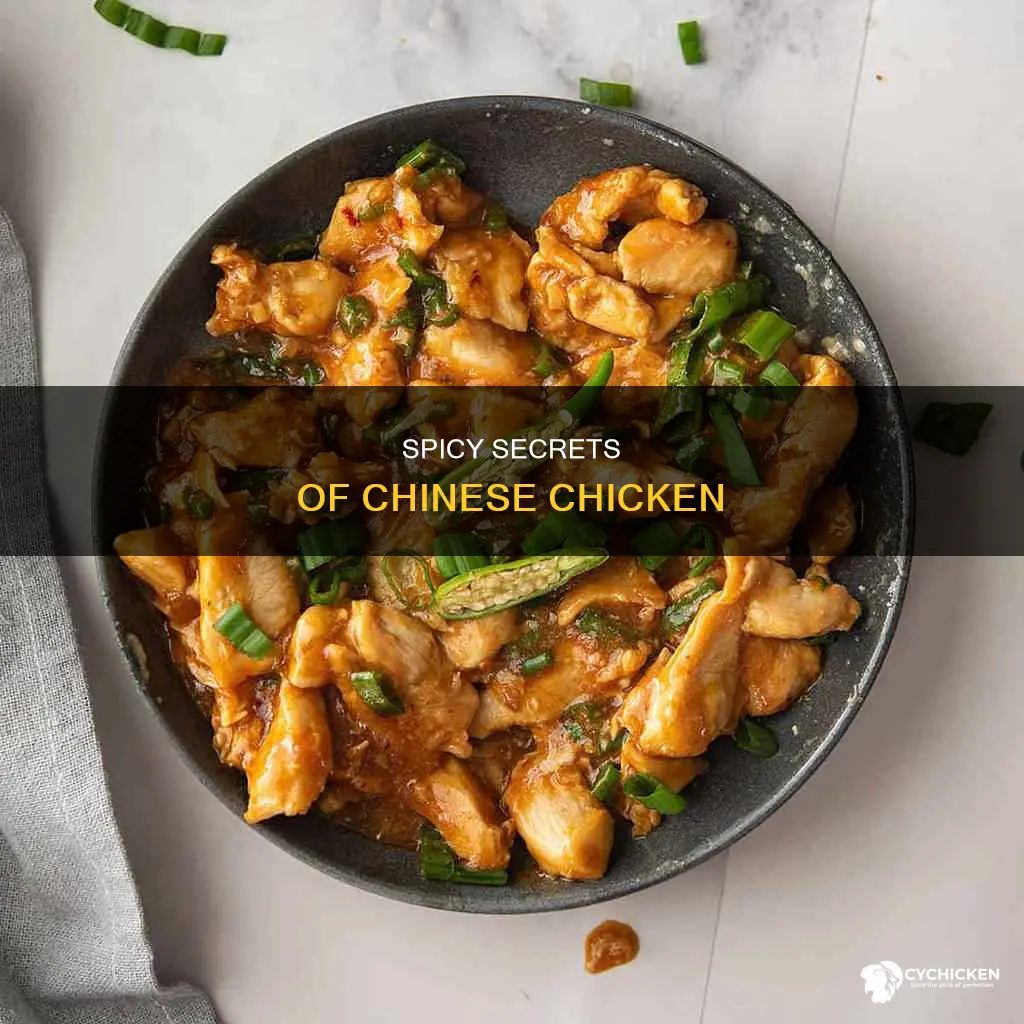 what is in hot and spicy chicken chinese food
