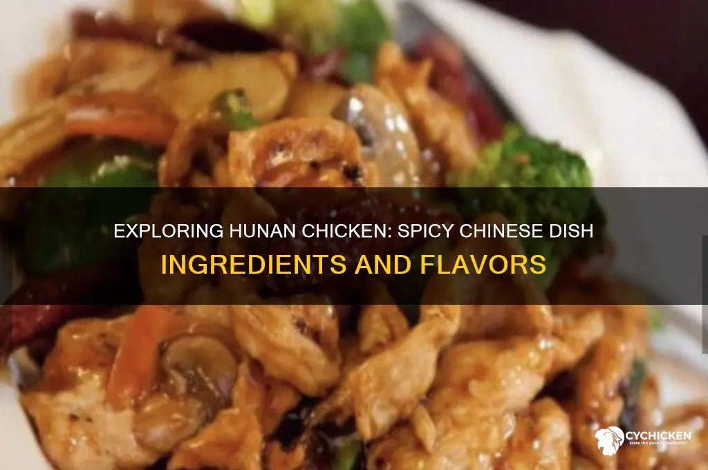 what is in hunan chicken chinese food