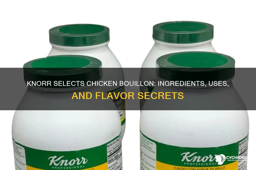 what is in knorr selects chicken bouillion