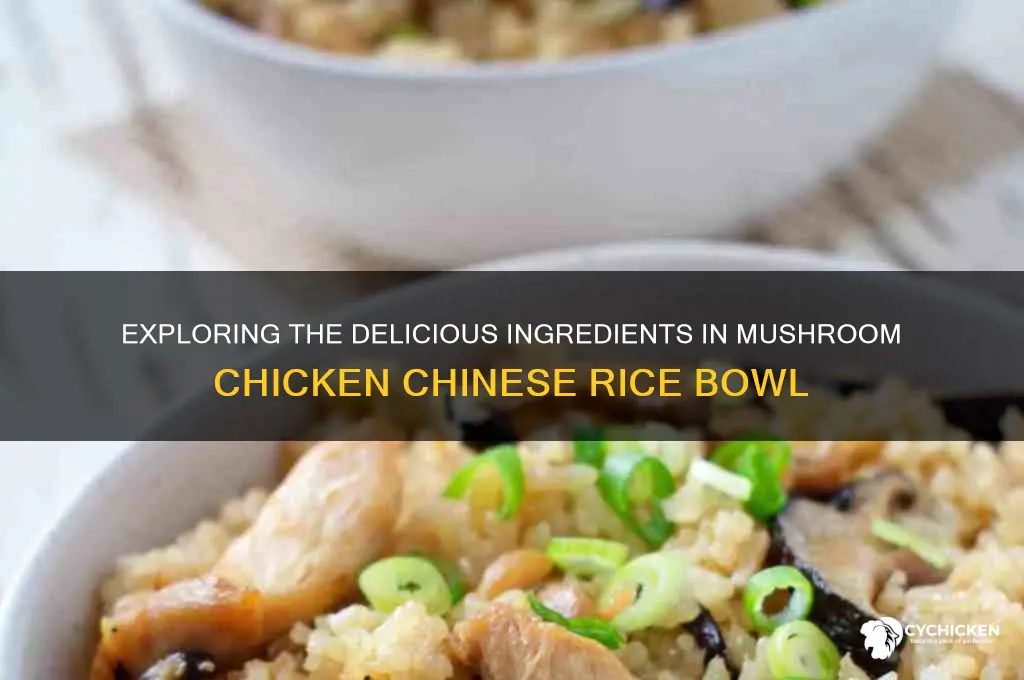 what is in mushroom chicken chinese rice bowl