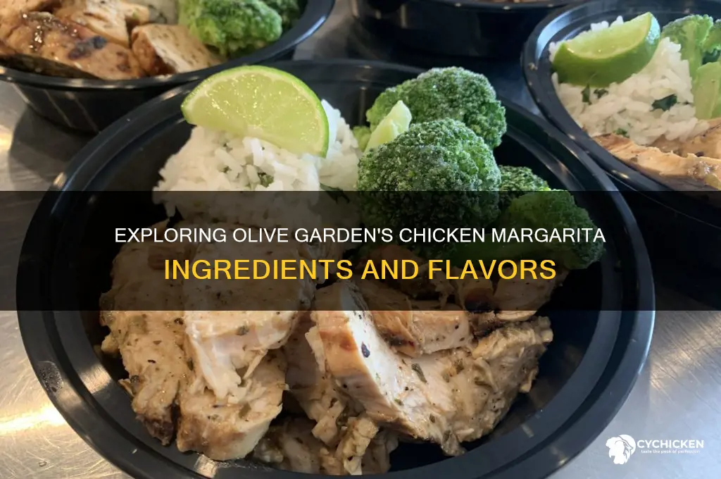 what is in olive garden chicken margarita