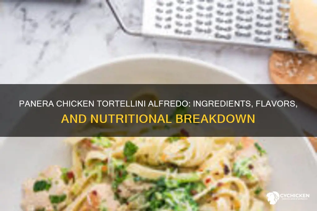 what is in panera chicken tortellini alfredo