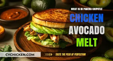 Panera Chipotle Chicken Avocado Melt Ingredients: A Tasty Breakdown