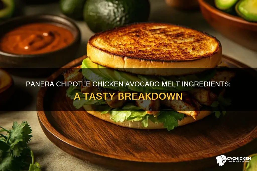 what is in panera chipotle chicken avocado melt