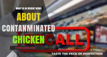 Contaminated Chicken Alert: Latest News on Health Risks and Recalls