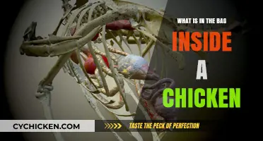 Unveiling the Mystery: What's Inside a Chicken's Bag?