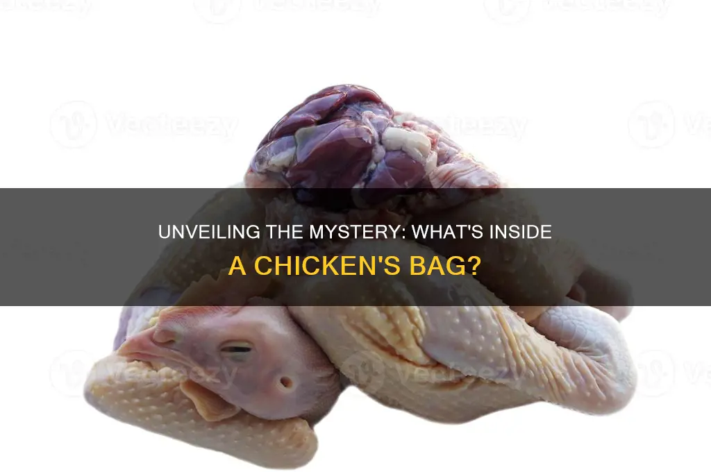 what is in the bag inside a chicken