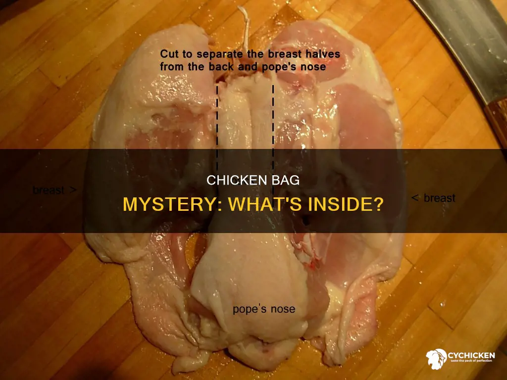what is in the bag inside of a chicken