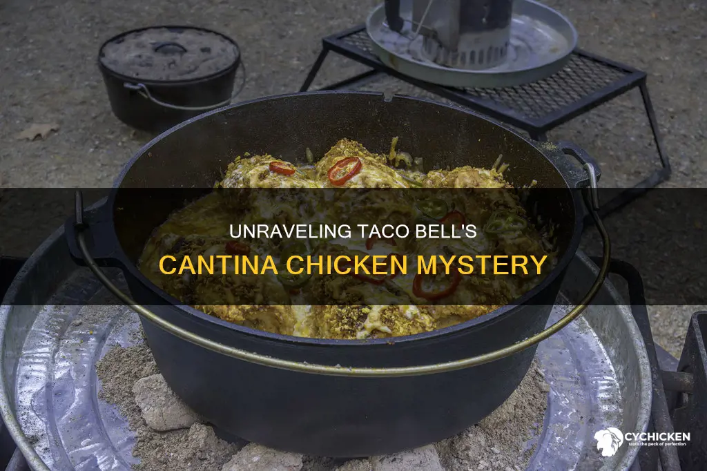 what is in the cantina chicken at taco bell