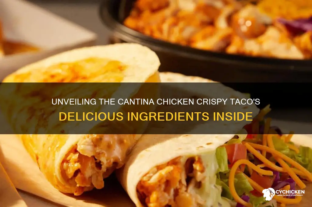 what is in the cantina chicken crispy taco