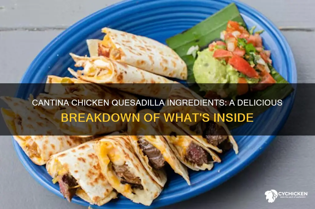 what is in the cantina chicken quesadilla