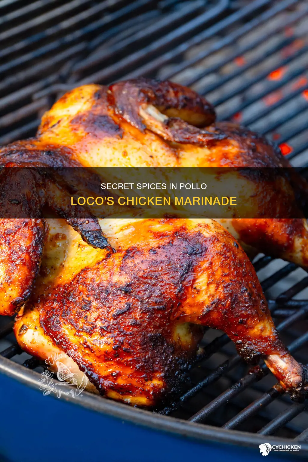 what is in the marinade of pollo loco chicken