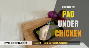 What's Inside the Pad Under Chicken? Uncovering the Absorbent Truth