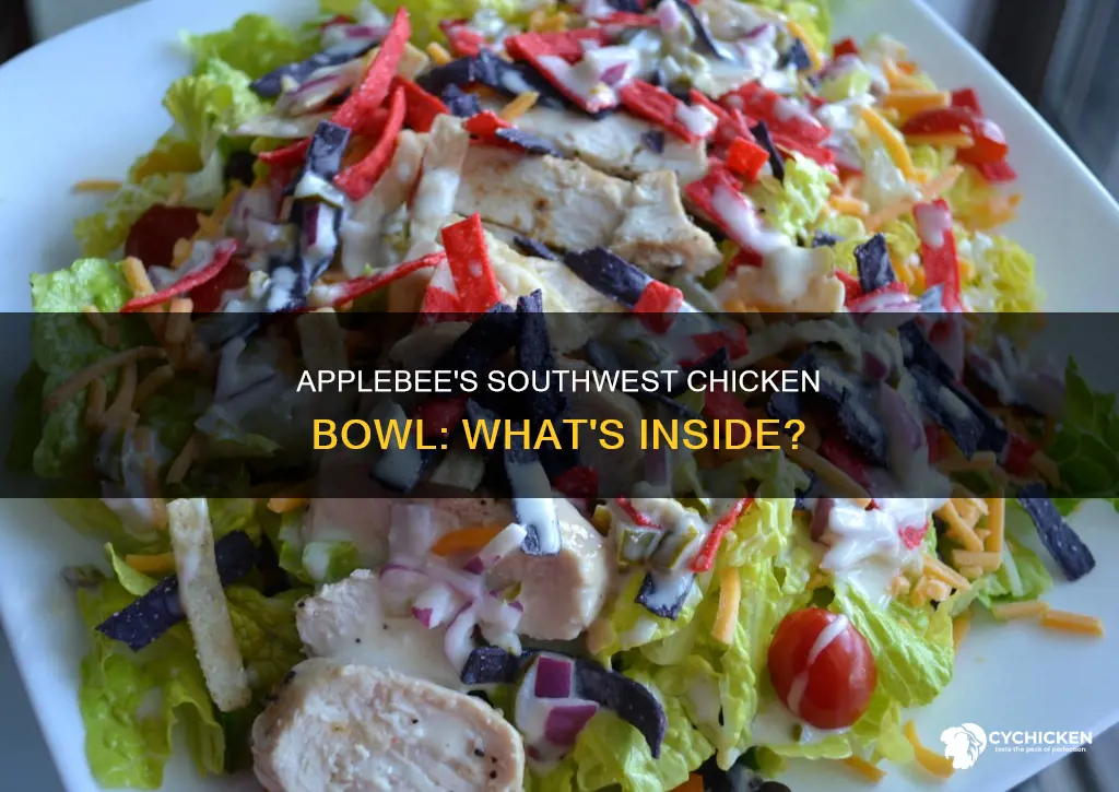 what is in the southwest chicken bowl at applebee