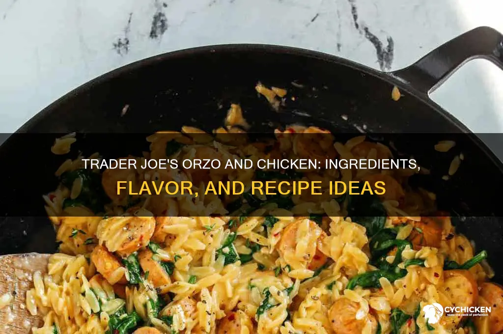 what is in trader joes orzo and chicken
