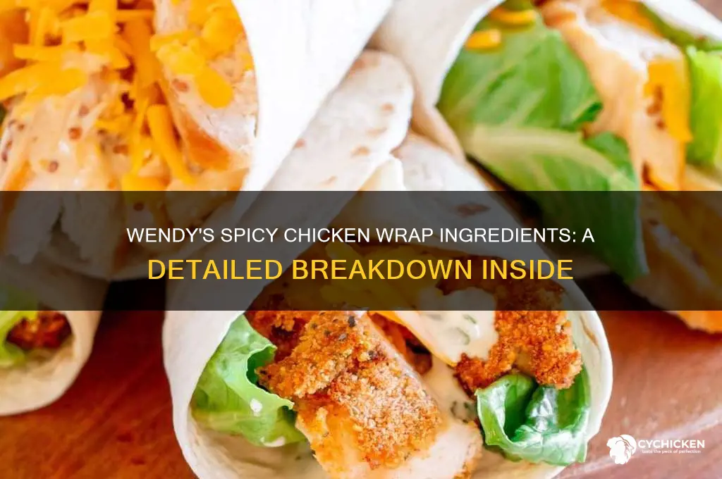 what is in wendy