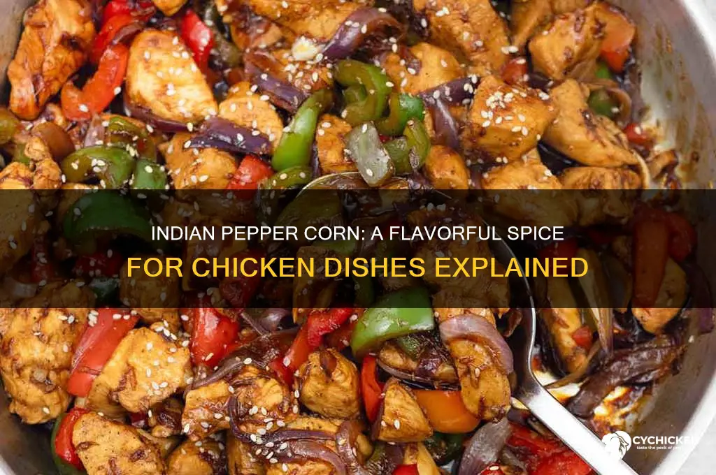 what is indian pepper corn for chicken