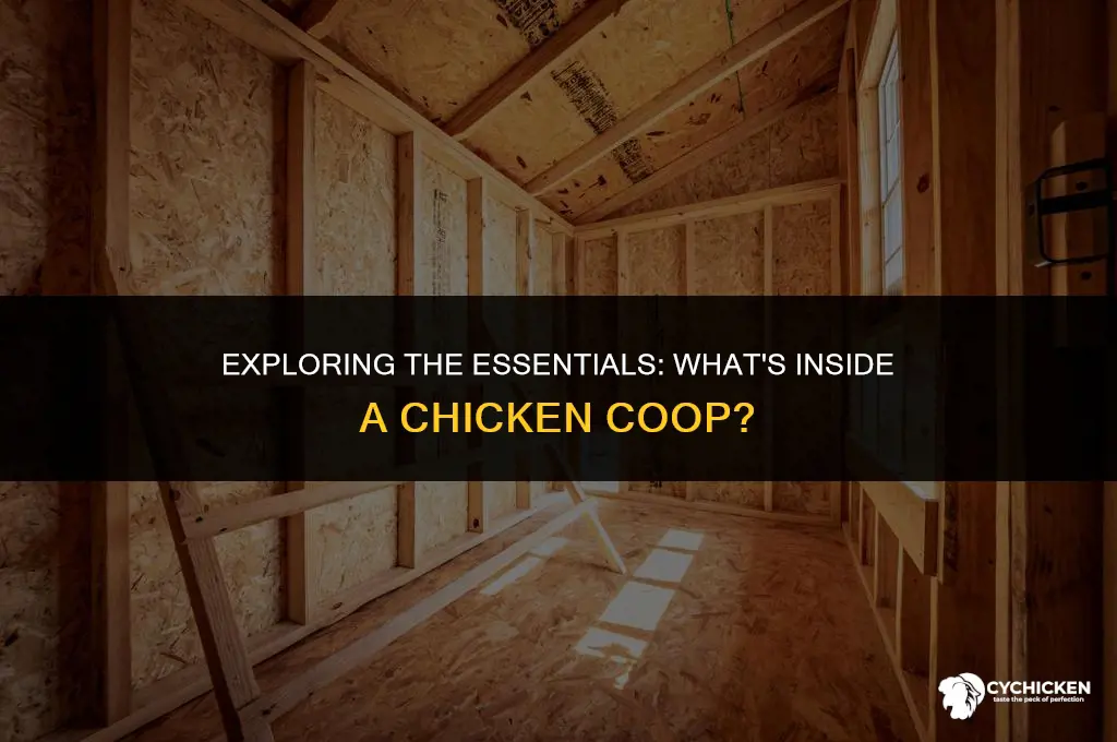 what is inside a chicken coop