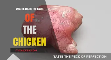 Unveiling the Chicken's Brain: Exploring the Skull's Intriguing Contents