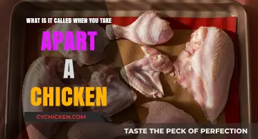 Breaking Down a Chicken: The Art of Butchery