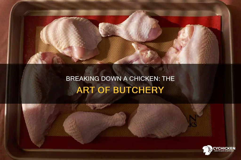 what is it called when you take apart a chicken