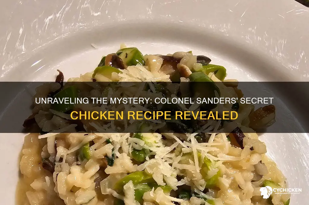 what is it colonel sanders you chicken