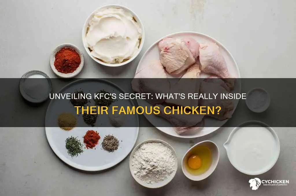 what is kfc chicken really made out of