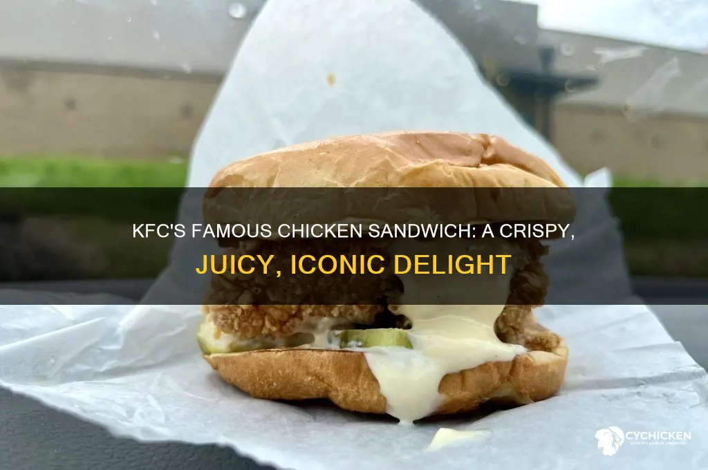 what is kfc famous chicken sandwich