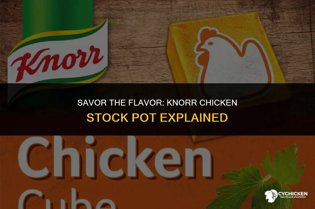 what is knorr chicken stock pot