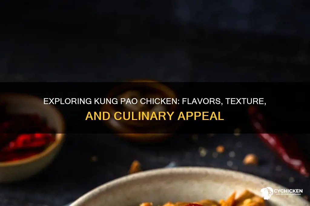 what is kung pao chicken like