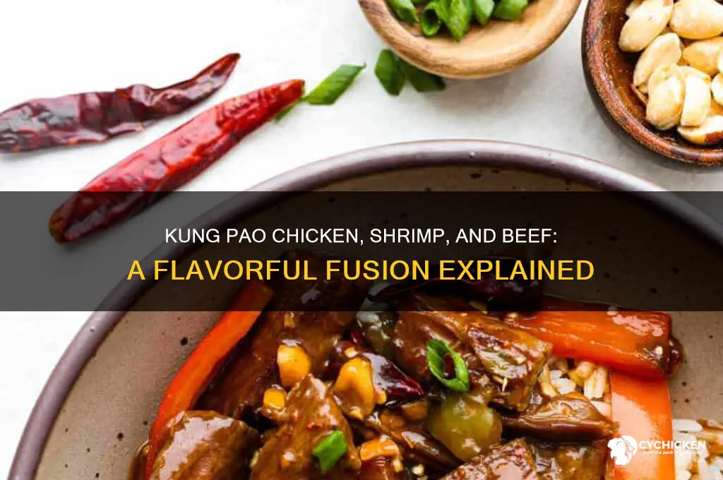 what is kung pao chicken shrimp and beef
