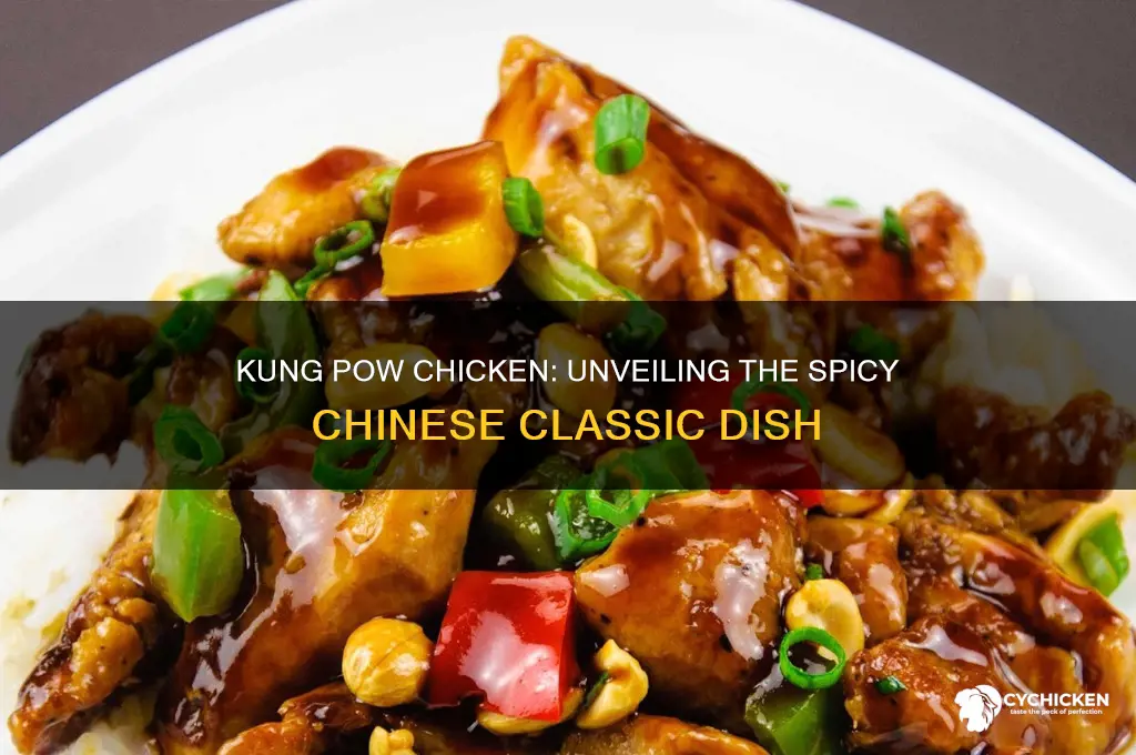 what is kung pow chicken chinese food