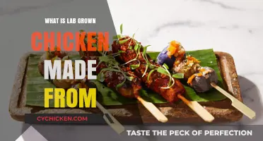 Understanding Lab-Grown Chicken: Ingredients, Process, and Benefits Explained